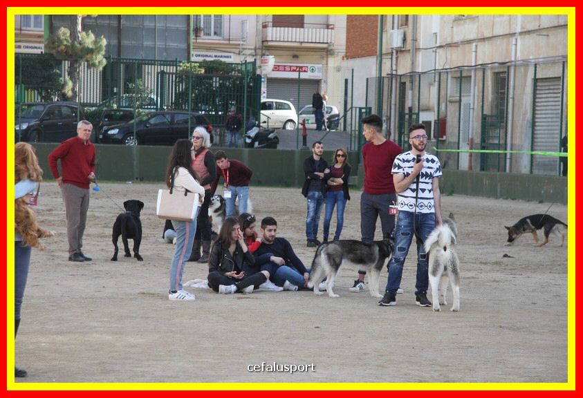 180311 mostra_canina 140.jpg